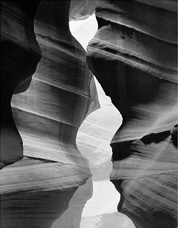 �t���L���ʐ^