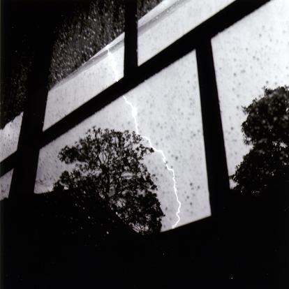 �|�{�q�Y�ʐ^