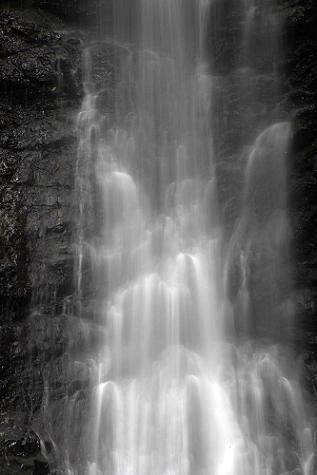 �R������ʐ^