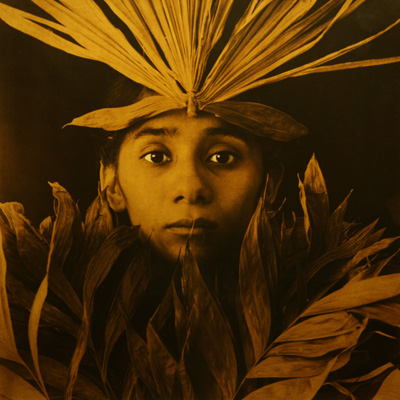 ���C�X��S���U���X��p���}�ʐ^