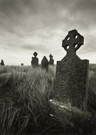 �ɓ��i�Ǝʐ^