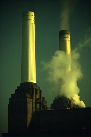 ����B�Y�ʐ^