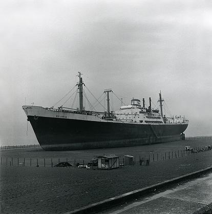 �c�����p�ʐ^