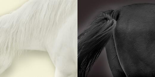 ���o�^�i�ʐ^