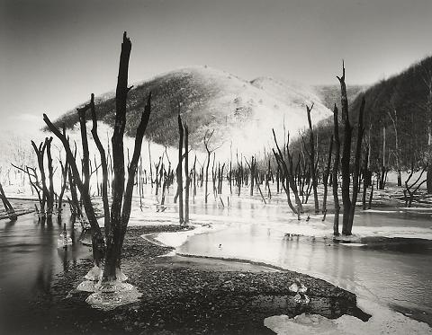 ���萳�l�ʐ^