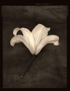 �n��R��ʐ^