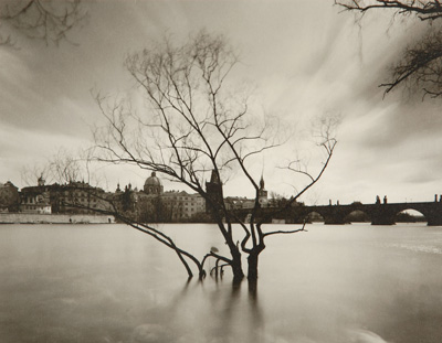 �ɓ��i�Ǝʐ^