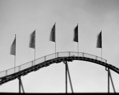 �R�E�����V���E�ʐ^