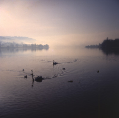 ����B�Y�ʐ^