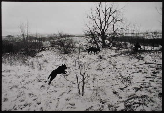 ���R�����ʐ^