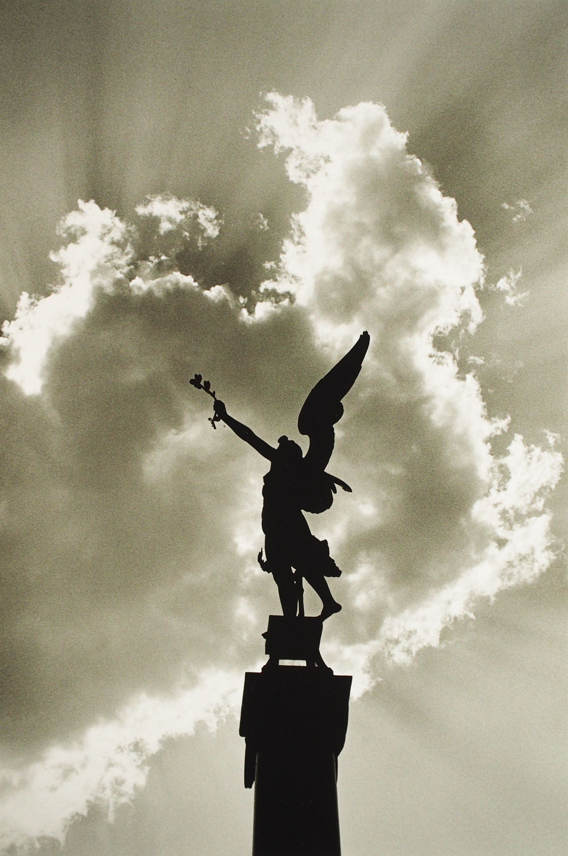 ����B�Y�ʐ^