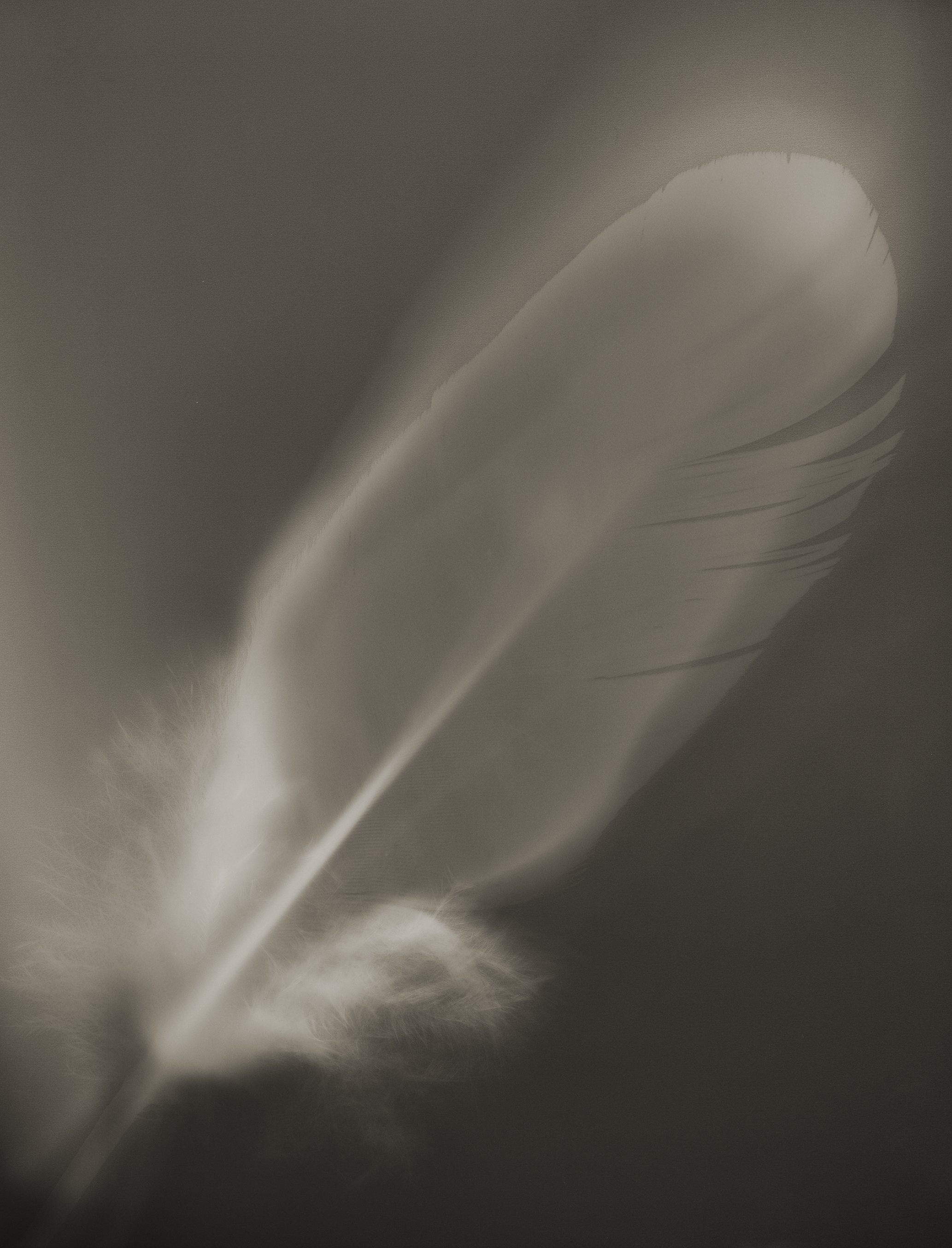 ��×R���q�ʐ^