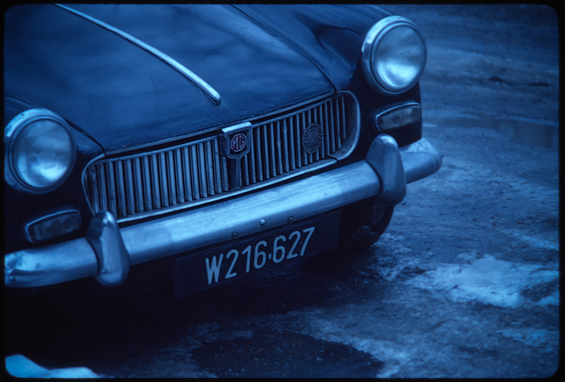 ����B�Y�ʐ^