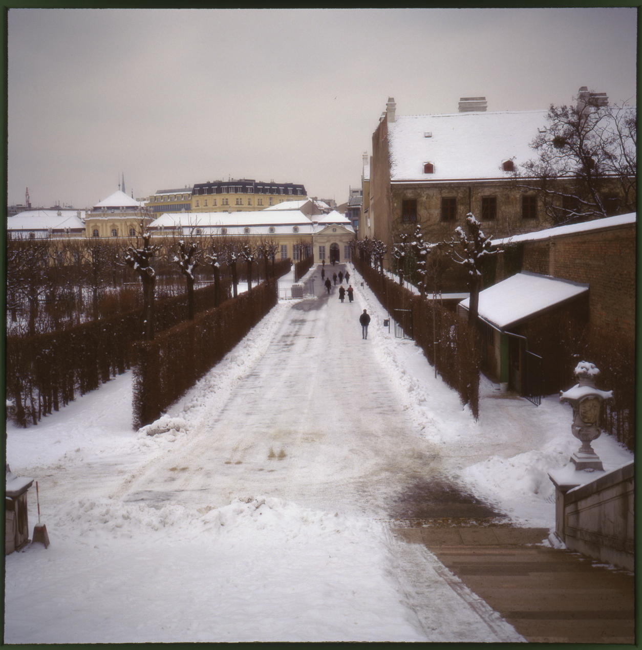 ����B�Y�ʐ^