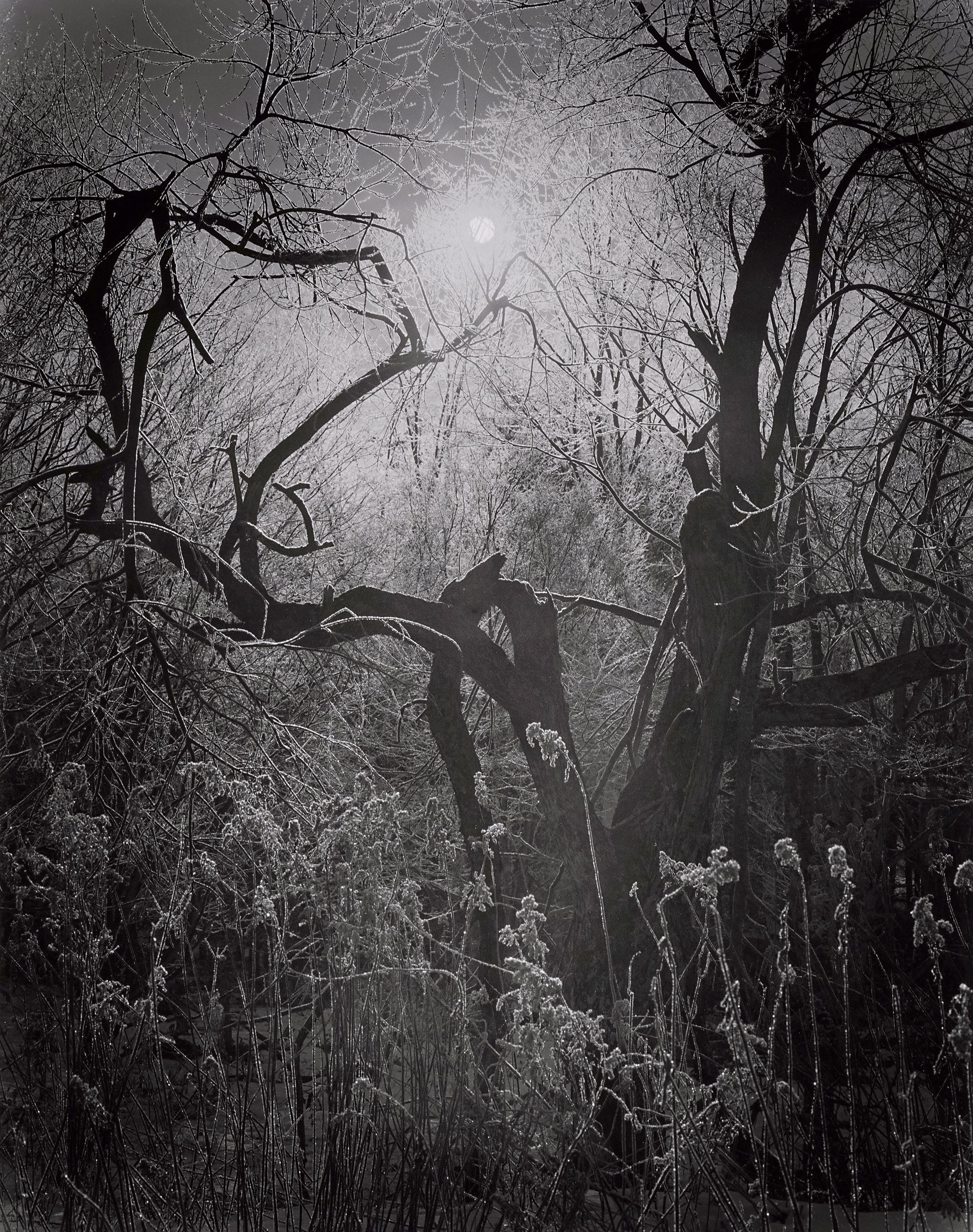 ���萳�l�ʐ^