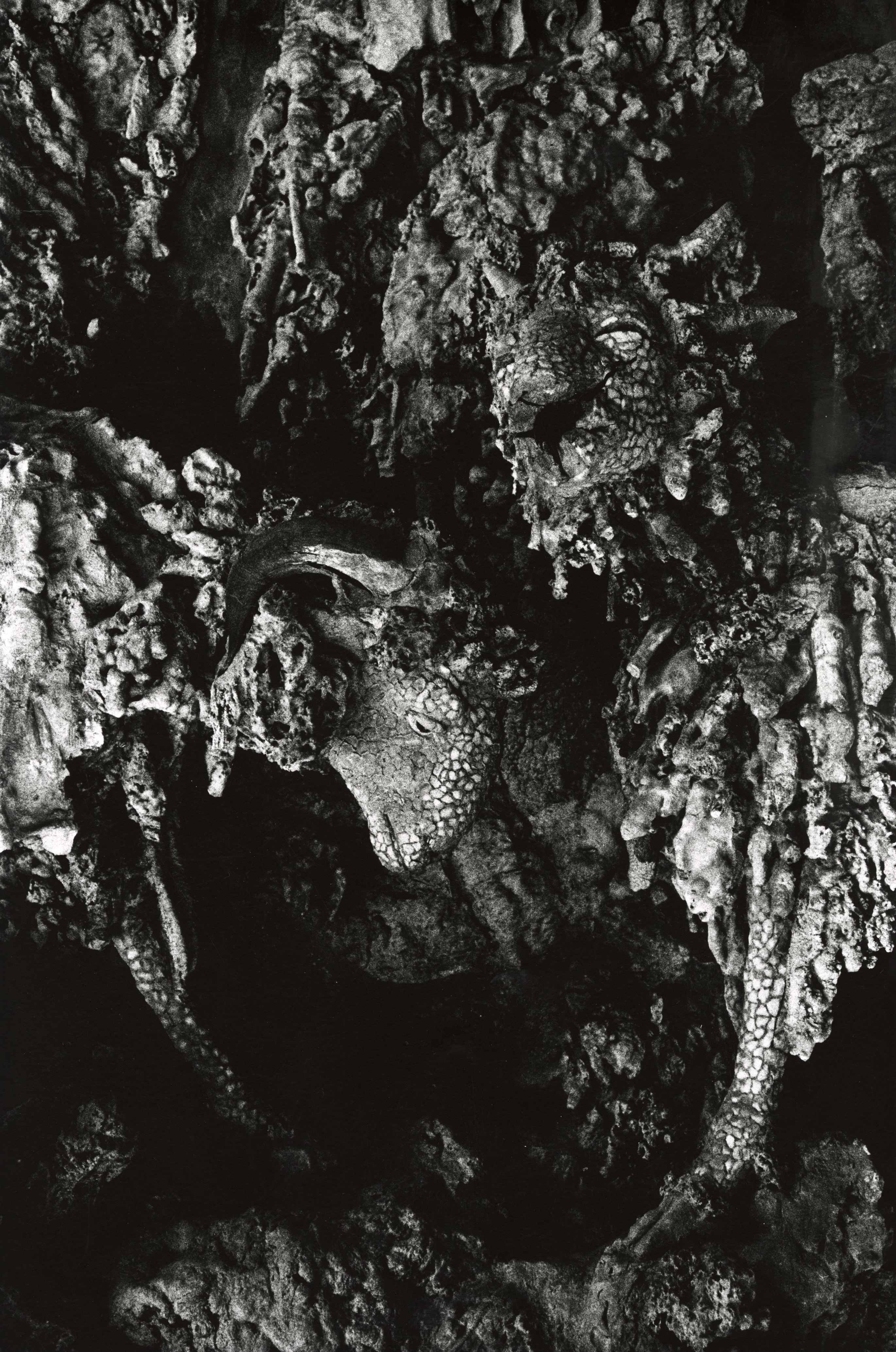 Bruce Davidson�ʐ^